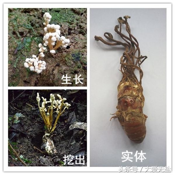 淮南支队联合淮南人民广播电台制作播出《消防安全大家谈》专题节目“xingkong.com”(图4) 淮南支队联合淮南人民广播电台制作播出《消防安全大家谈》专题节目“xingkong.com”(图4)