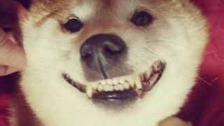 “星空官网登录”2015广州黄浦区初中如何选？-2015广州