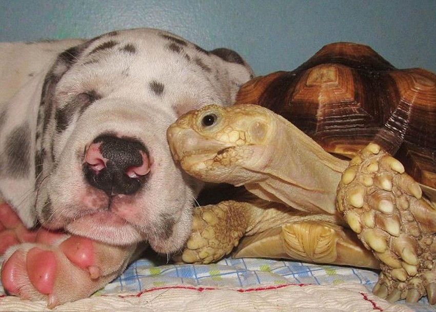 新余:队站开放欢迎“小小消防员”参观学习‘xingkong体育官网登录’(图2) 星空官网登录