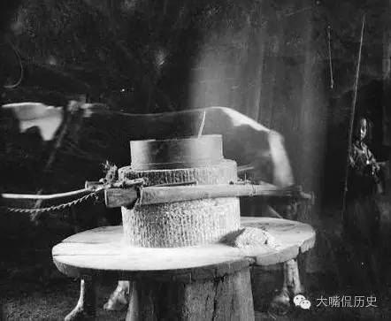 2014南外小升初简历投递时间、流程、注意事项汇总“星空官网登录”(图1) 星空官网登录