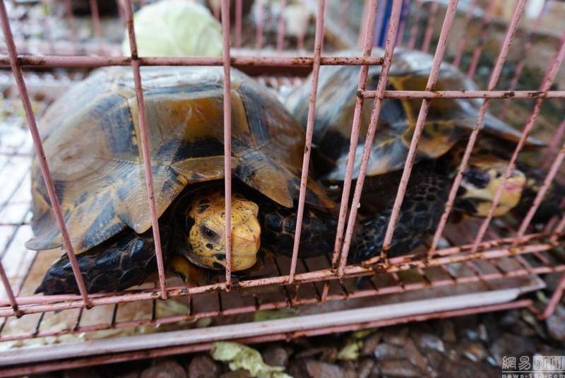 ‘xingkong体育官网登录’《蓝焰突击》预告成为中国消防