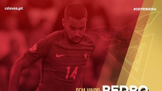 xingkong体育官网登录